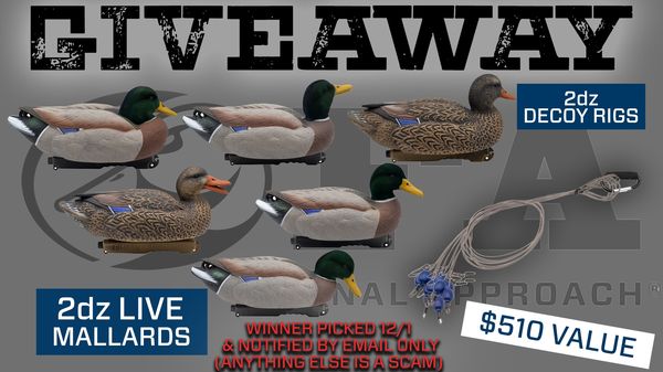 Giveaway image 1