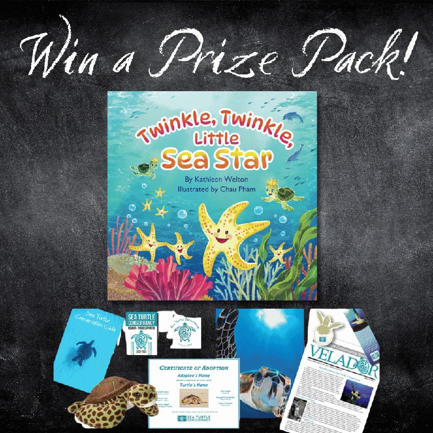 Giveaway image