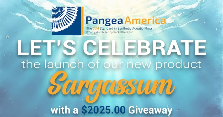 Giveaway image