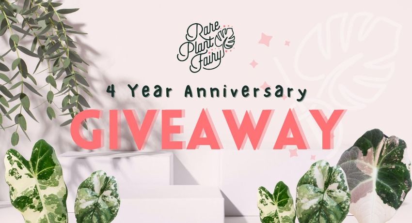 Giveaway image 1