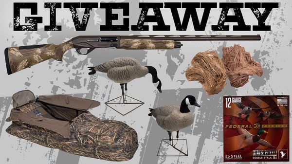 Giveaway image 1