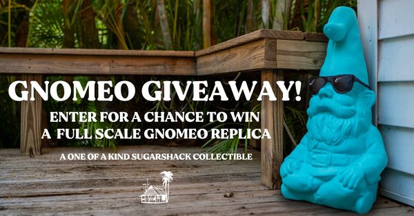 Giveaway image 1