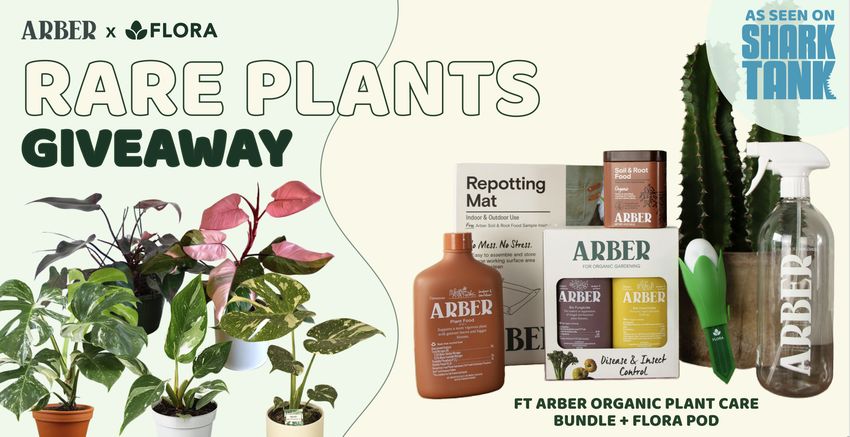 Giveaway image 1
