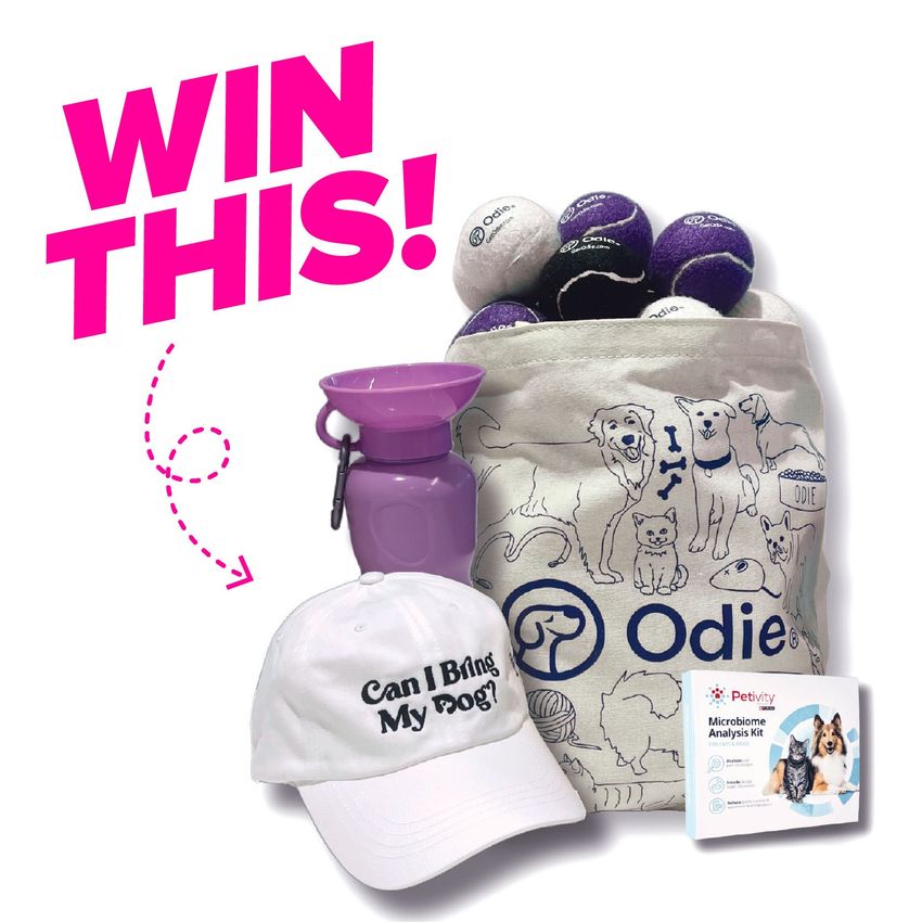 Giveaway image