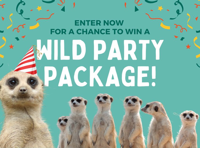 Giveaway image
