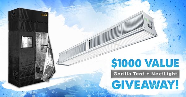 Giveaway image 1