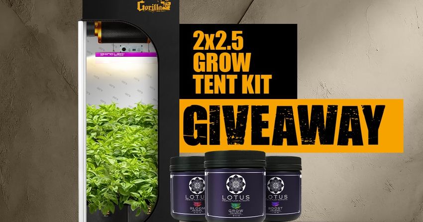 Giveaway image 1