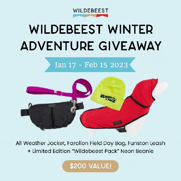Giveaway image 1