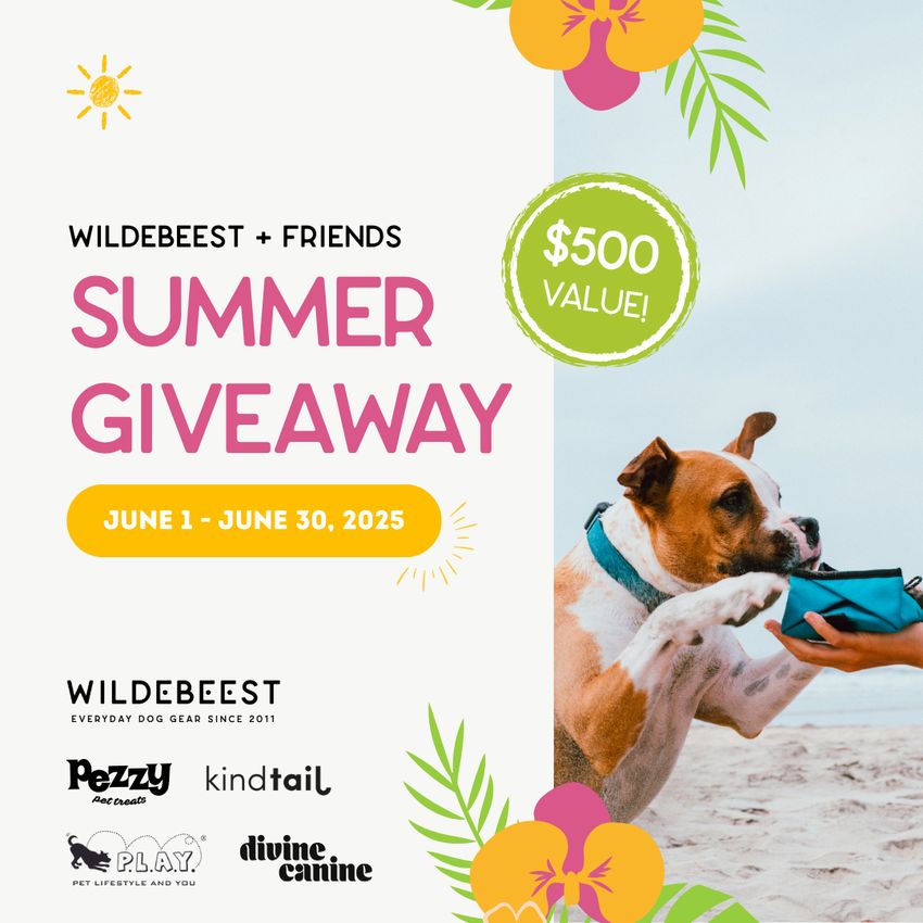 Giveaway image