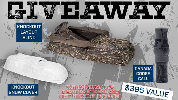 Giveaway image 1