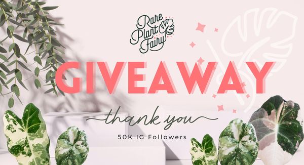 Giveaway image 1