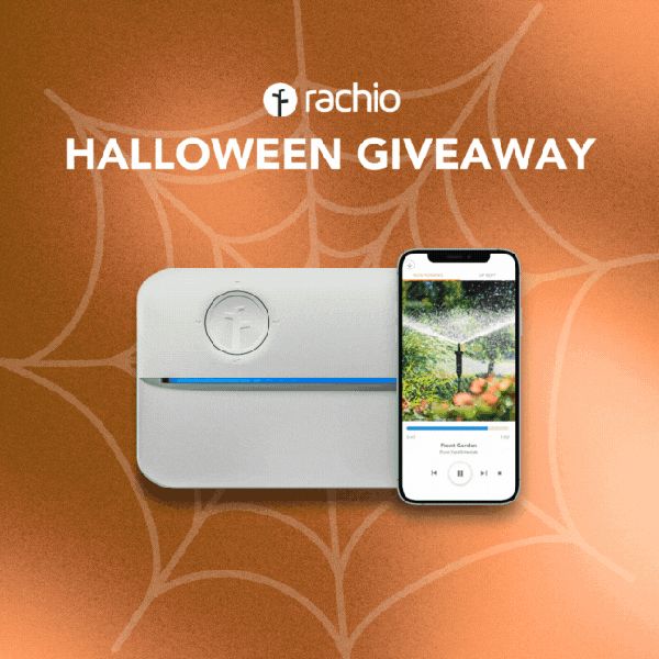 Giveaway image 1