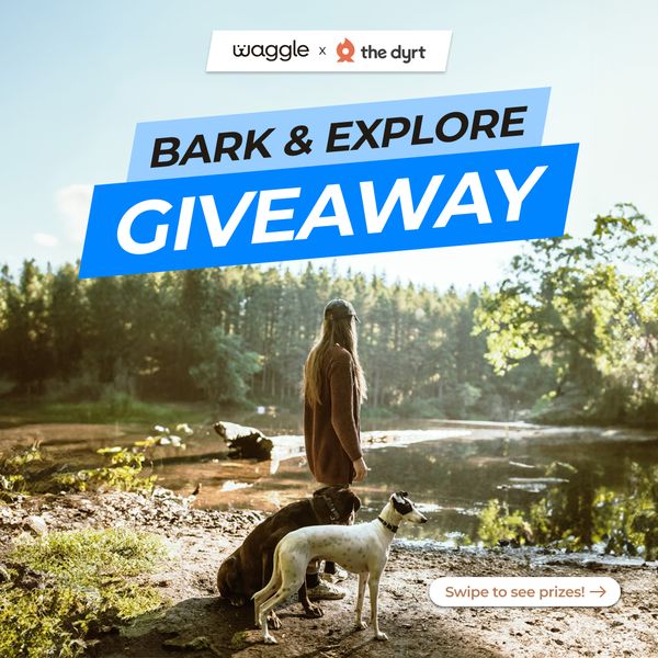 Giveaway image 1