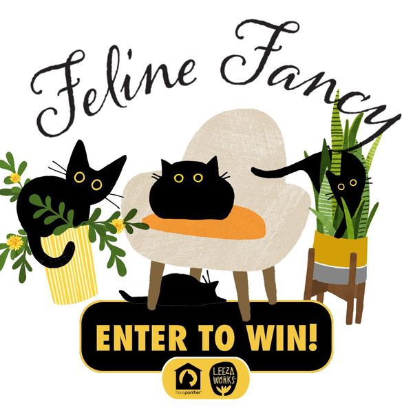 Giveaway image 1