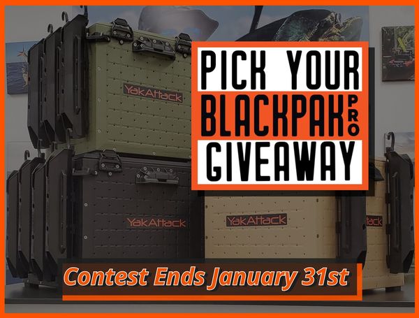Giveaway image 1