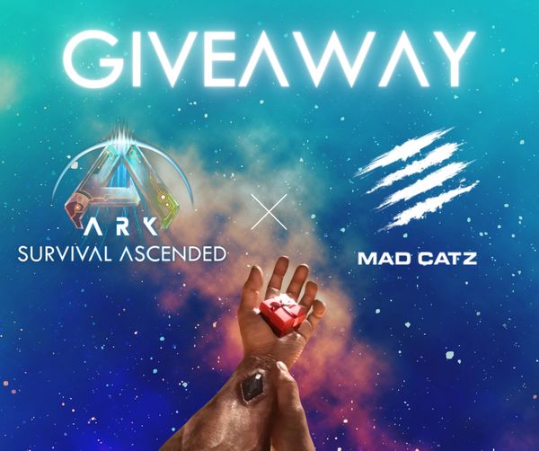 Giveaway image 1