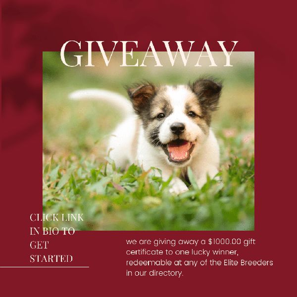 Giveaway image 1