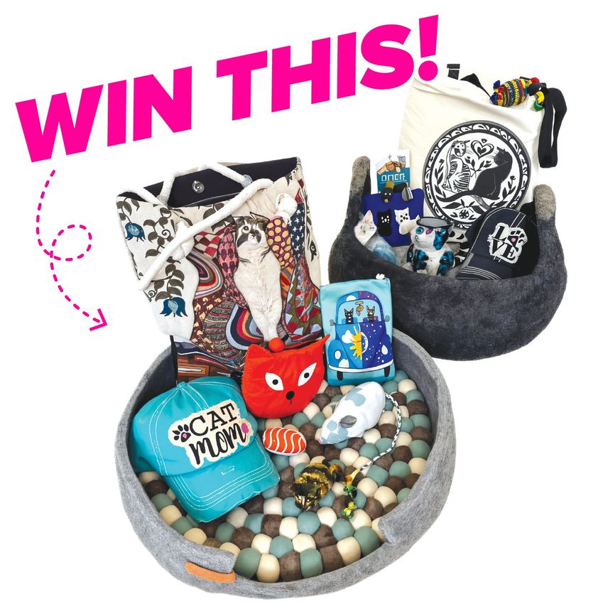 Giveaway image