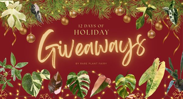 Giveaway image 1