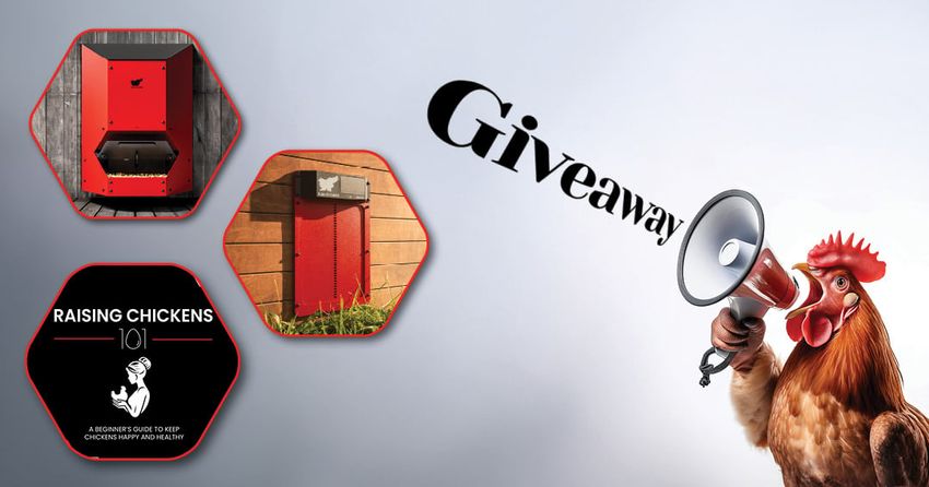 Giveaway image