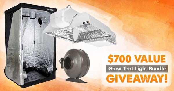 Giveaway image 1