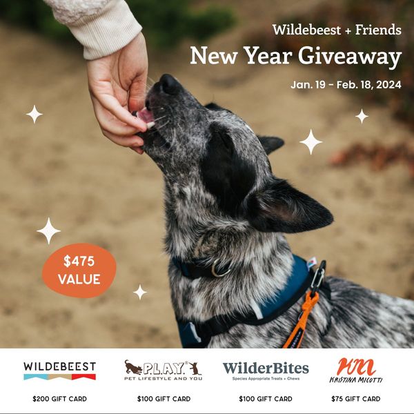 Giveaway image 1