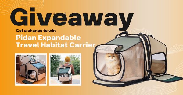 Giveaway image 1