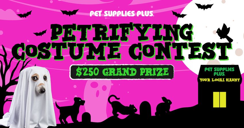 Giveaway image 1
