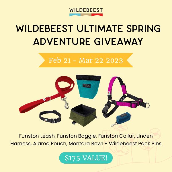 Giveaway image 1