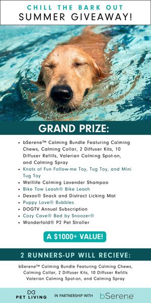 Giveaway image 1