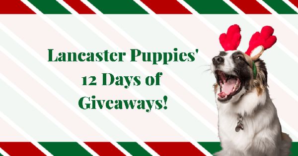 Giveaway image 1