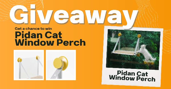 Giveaway image 1