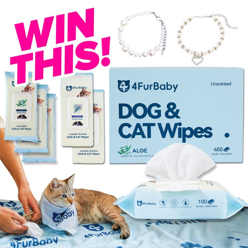 Giveaway image