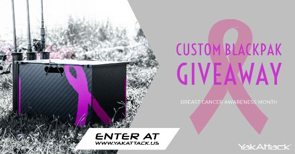 Giveaway image 1