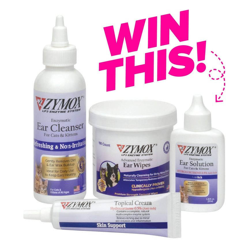 Giveaway image