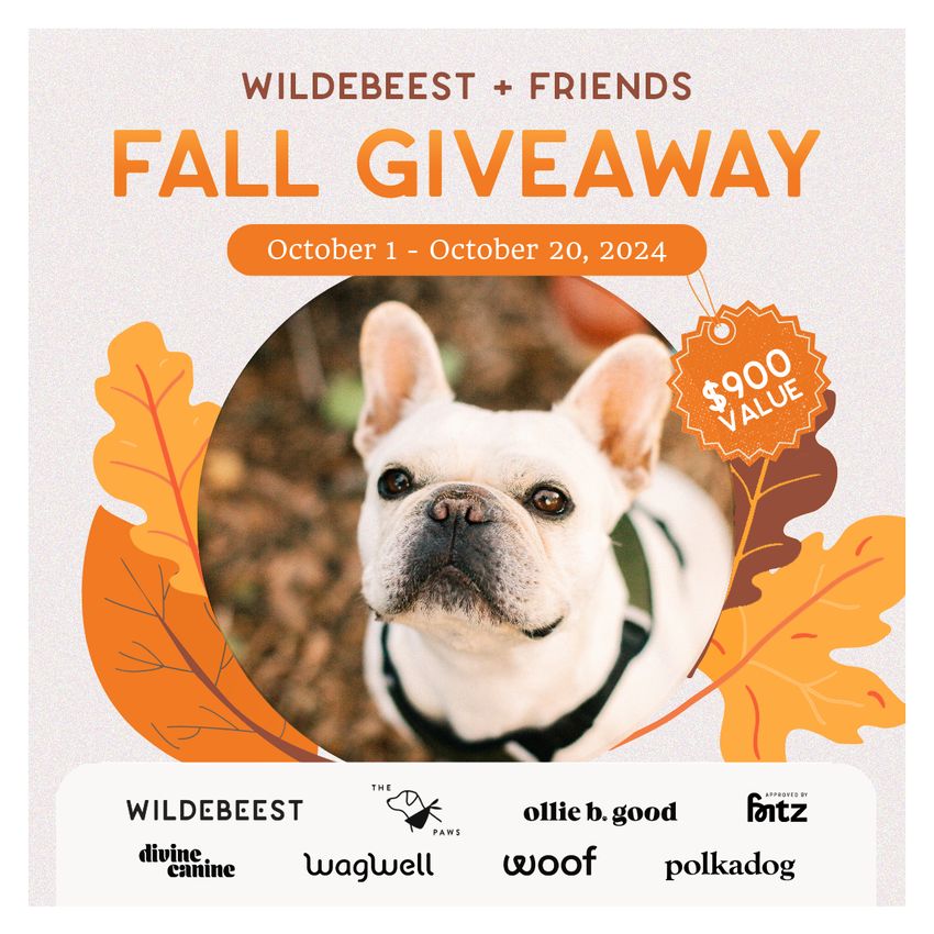 Giveaway image 1