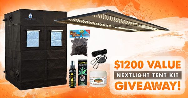 Giveaway image 1