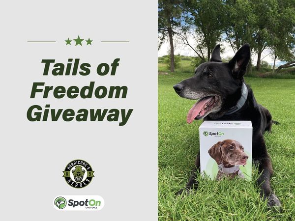 Giveaway image 1