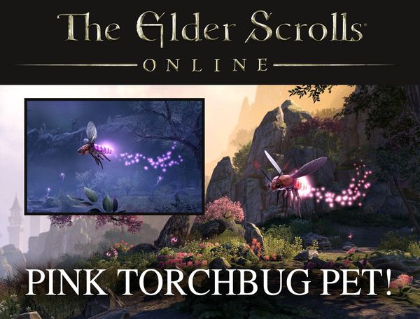 Giveaway image 1