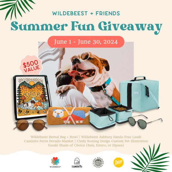 Giveaway image 1