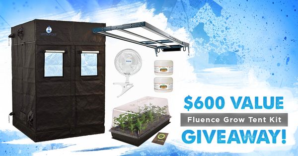 Giveaway image 1
