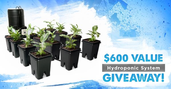 Giveaway image 1