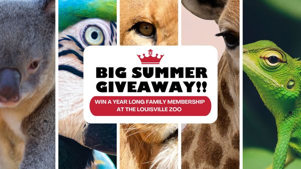 Giveaway image 1