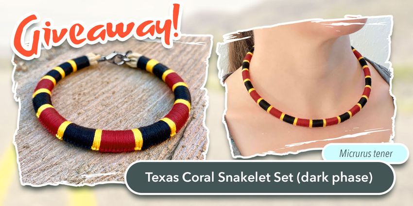 Giveaway image