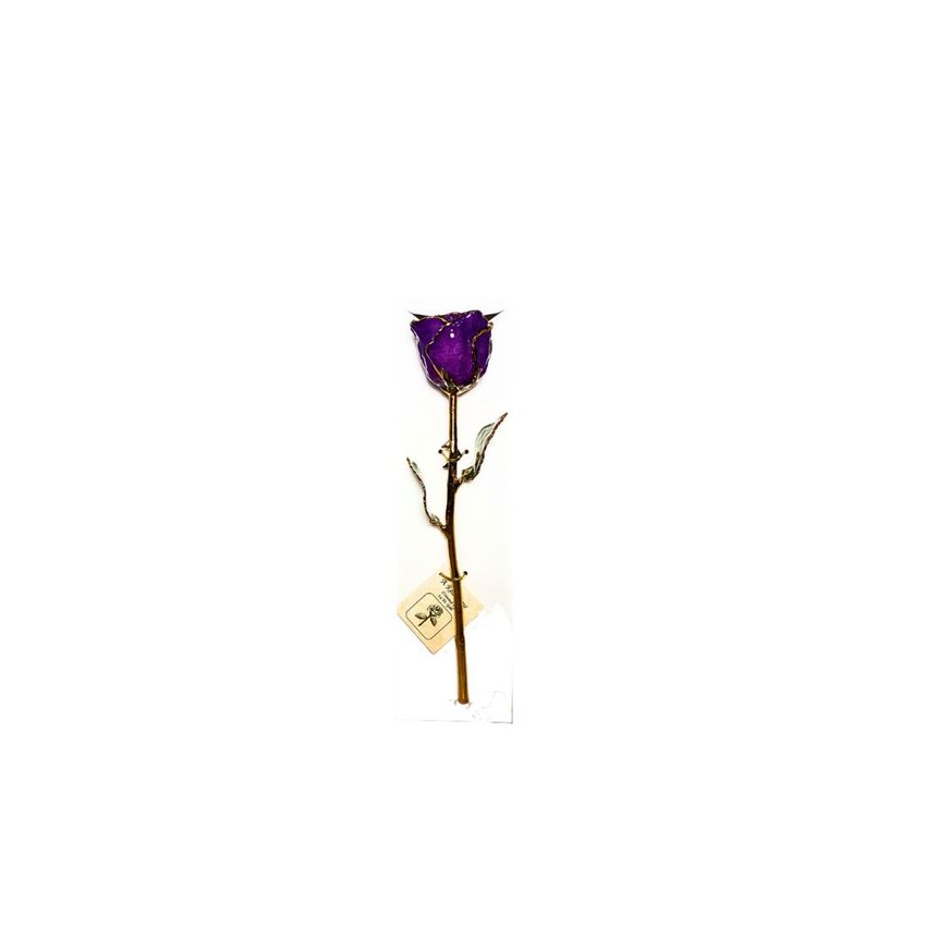 Giveaway image 6