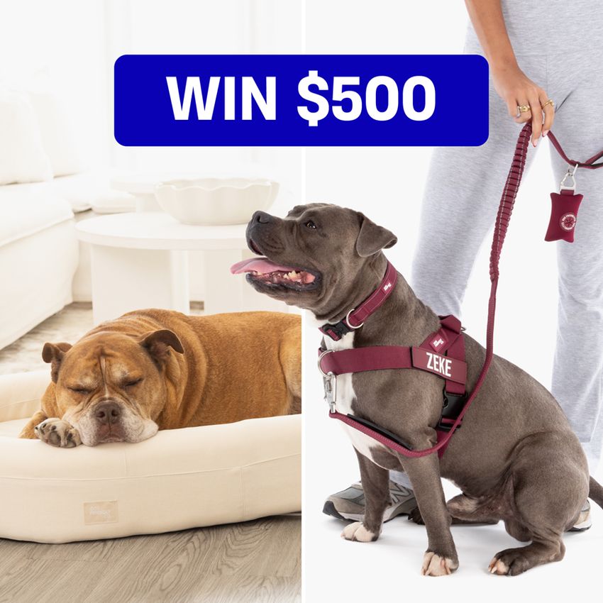 Giveaway image