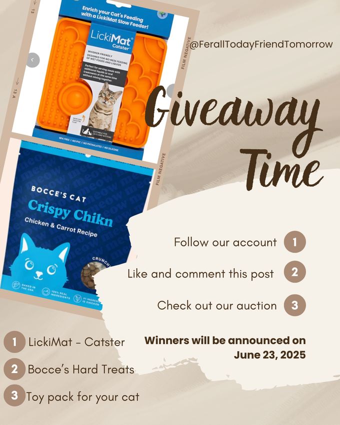 Giveaway image