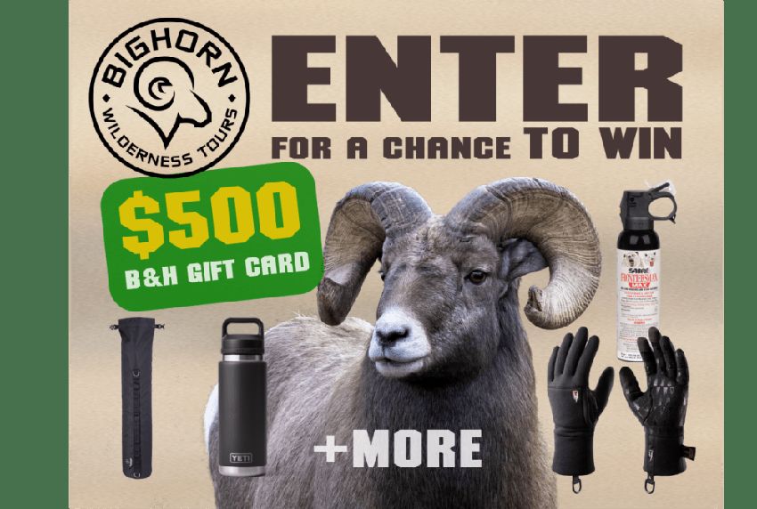 Giveaway image