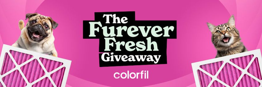 Giveaway image 2