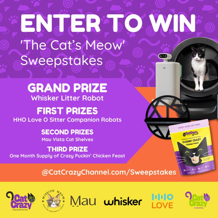 Giveaway image 5